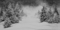 http://www.bernalespacio.com/files/gimgs/th-46_Hans Op de Beeck Snow and Pine Trees 2016.jpg